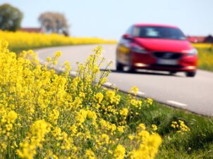 Rød bil kjører forbi en gul raps-åker en fin sommerdag